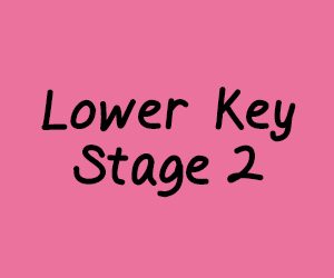 Lower Key Stage 2