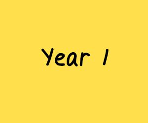 Year 1