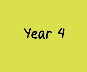 Year 4
